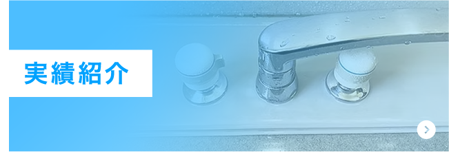 実績紹介